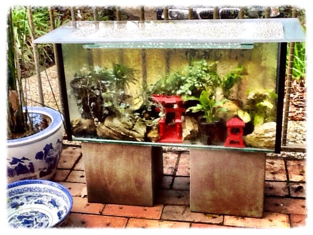 Softer Edge Terrarium