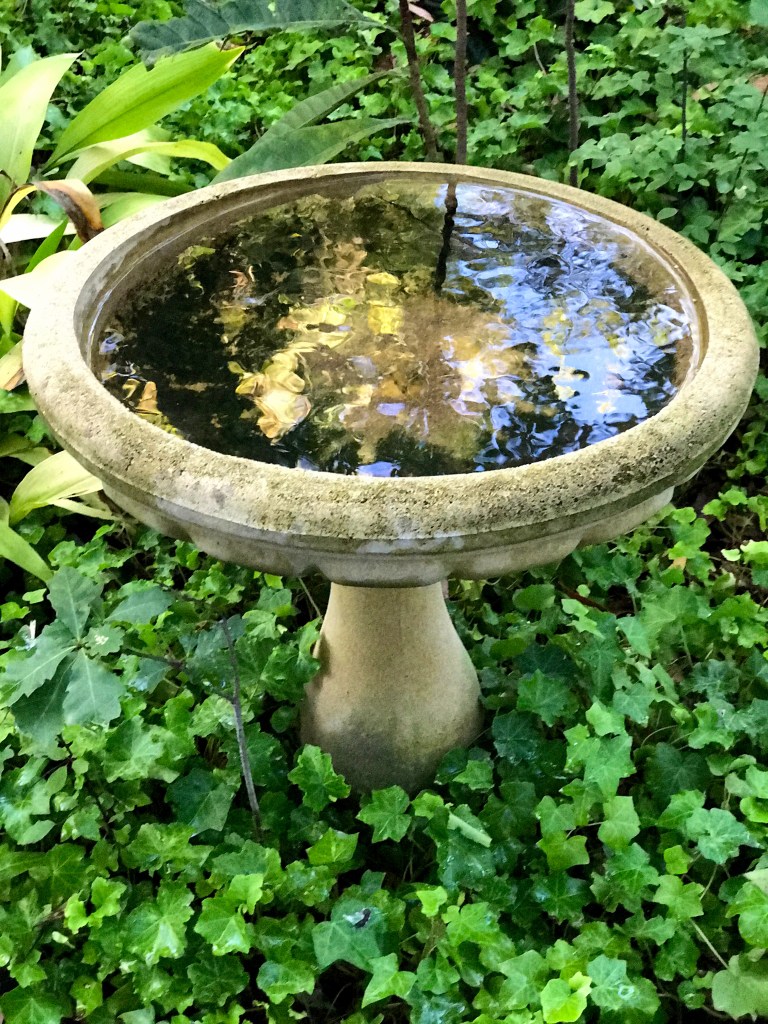 large-bird-bath
